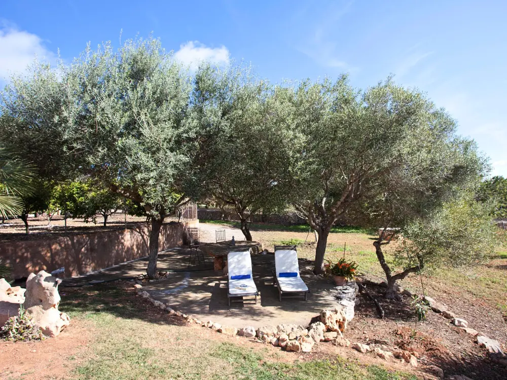 Maison de Vacances Santanyí