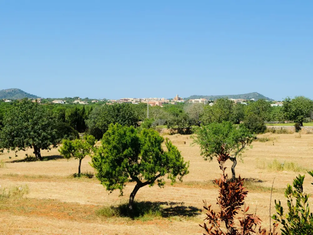 Maison de Vacances Santanyí