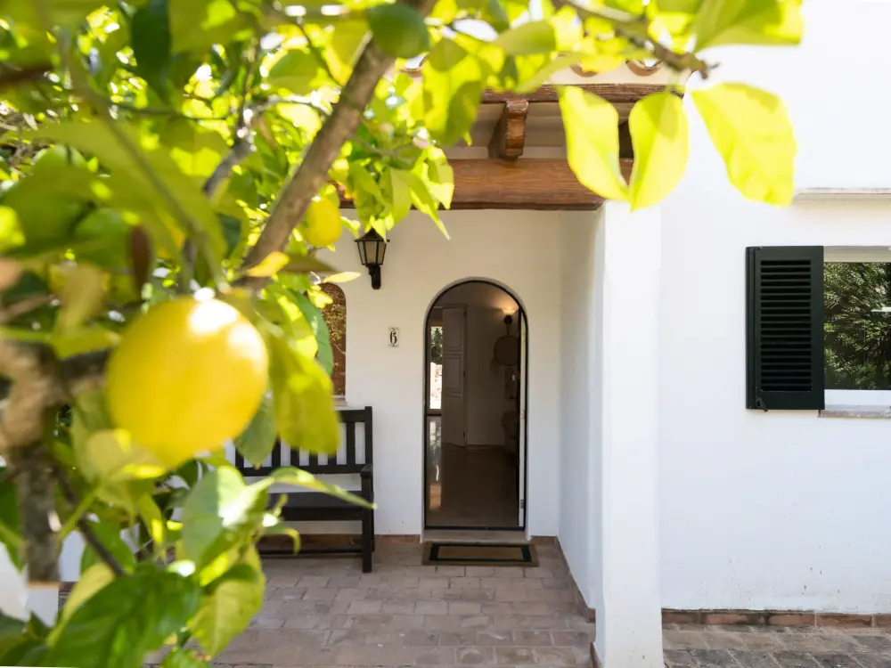 Maison de Vacances Santanyí