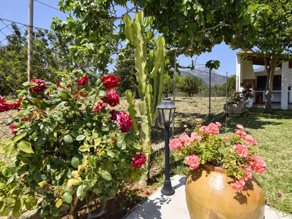 Maison de Vacances Selva