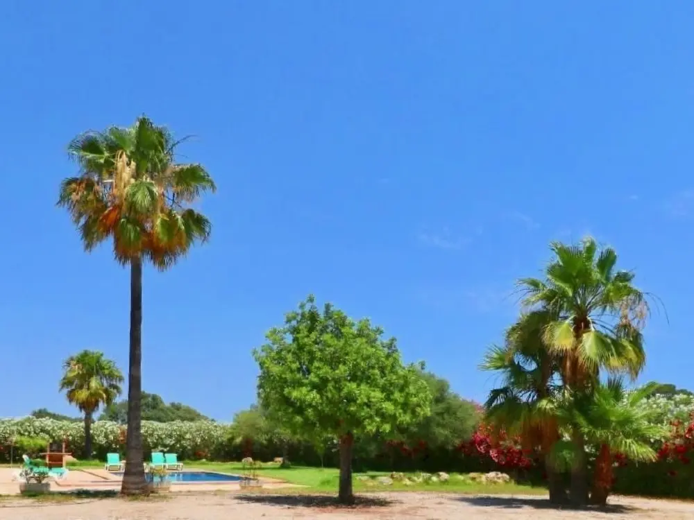 Maison de Vacances ses Salines