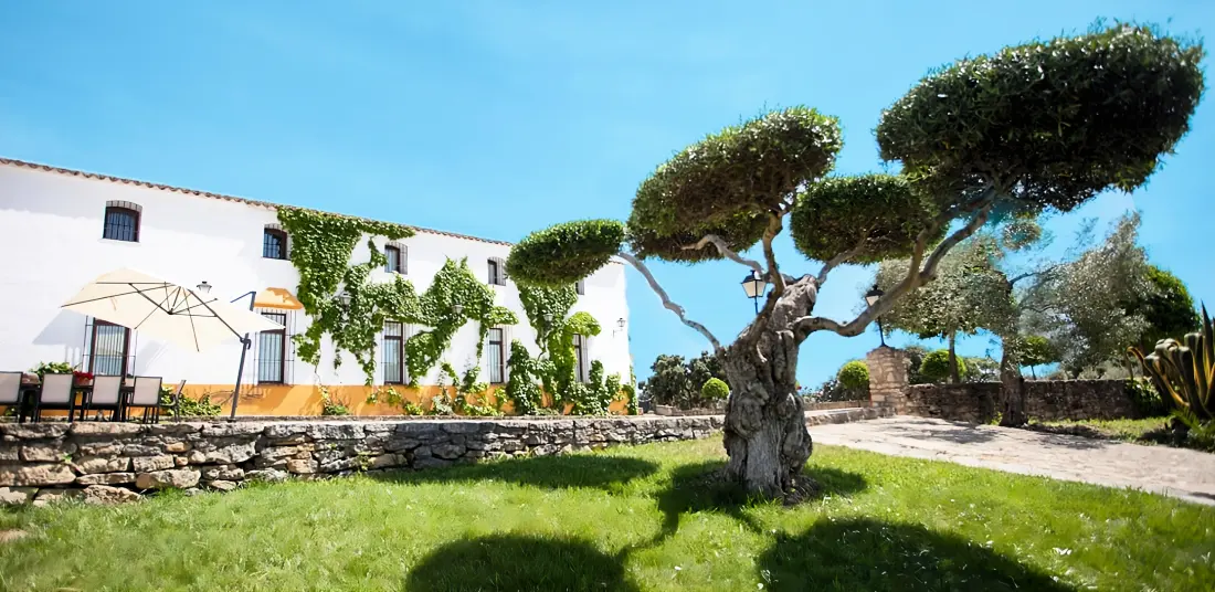 Maison à Setenil de las bodegas
