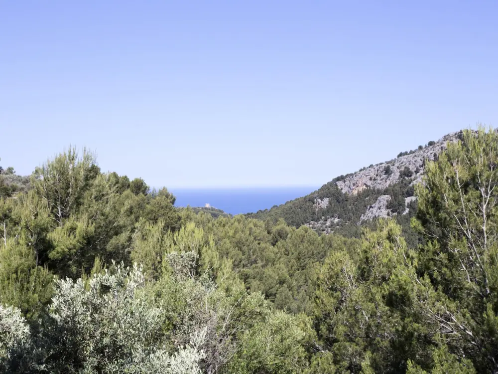 Maison de Vacances Sóller