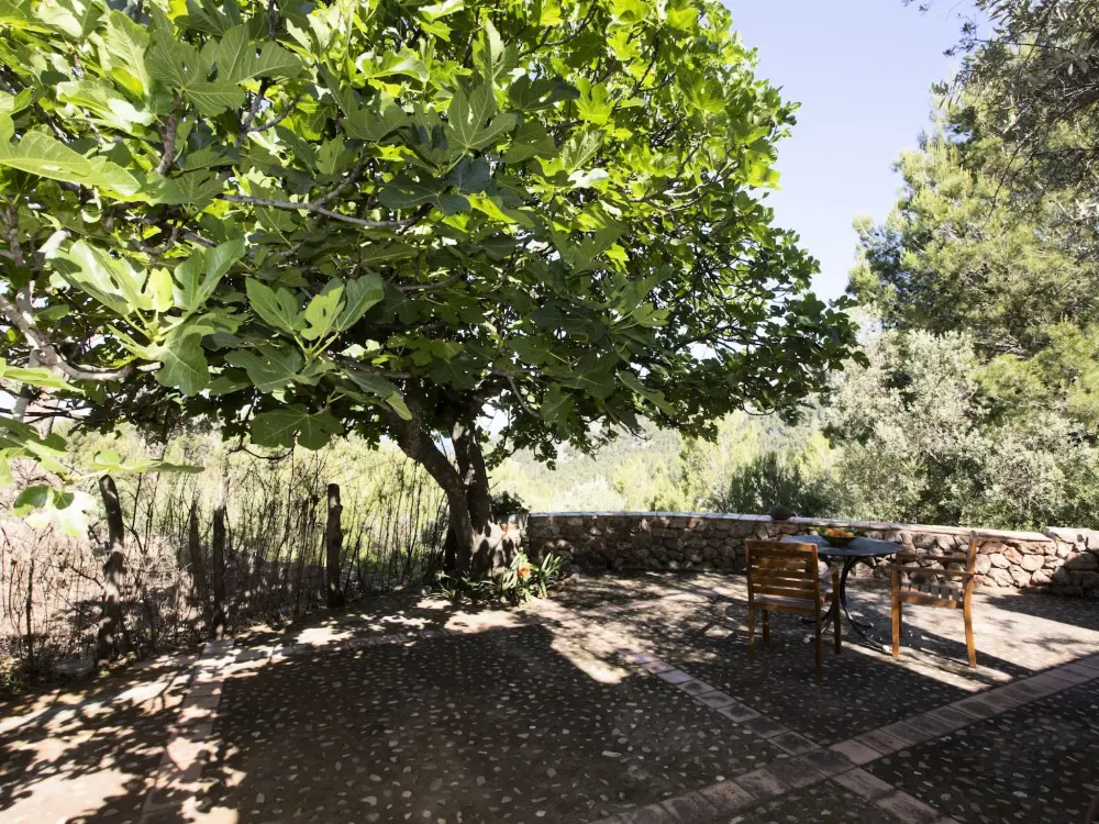 Maison de Vacances Sóller