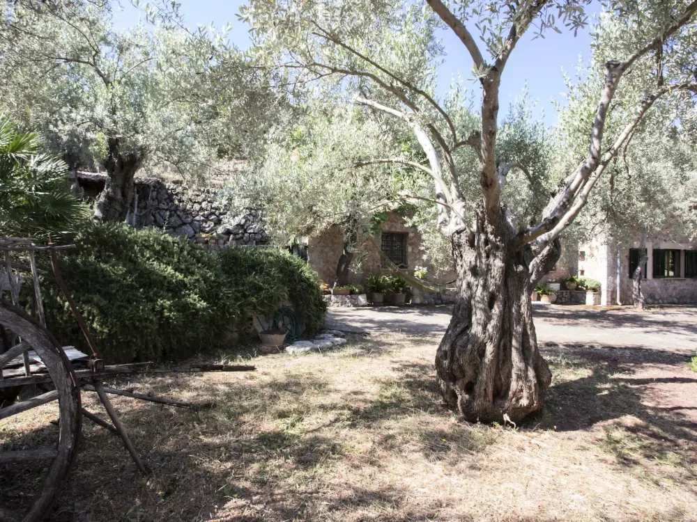 Maison de Vacances Sóller