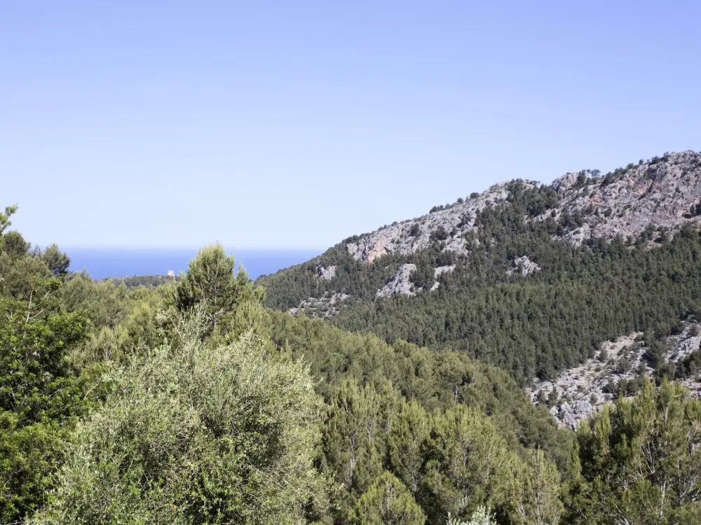 Maison de Vacances Sóller