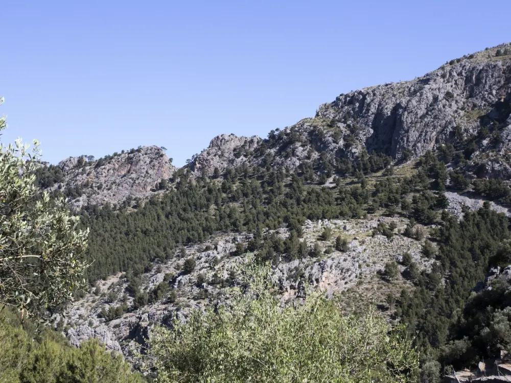 Maison de Vacances Sóller