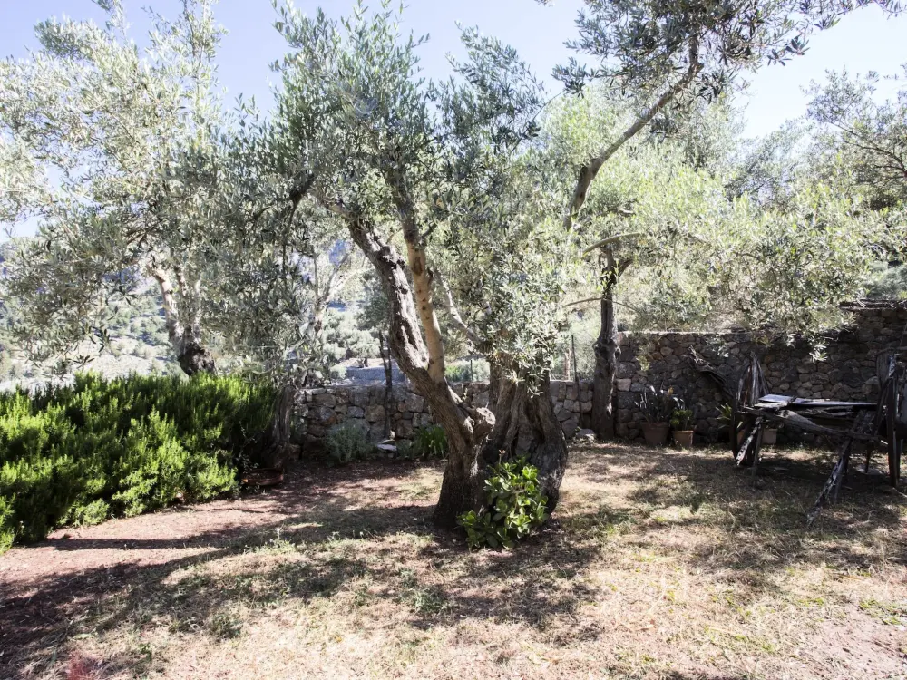 Maison de Vacances Sóller
