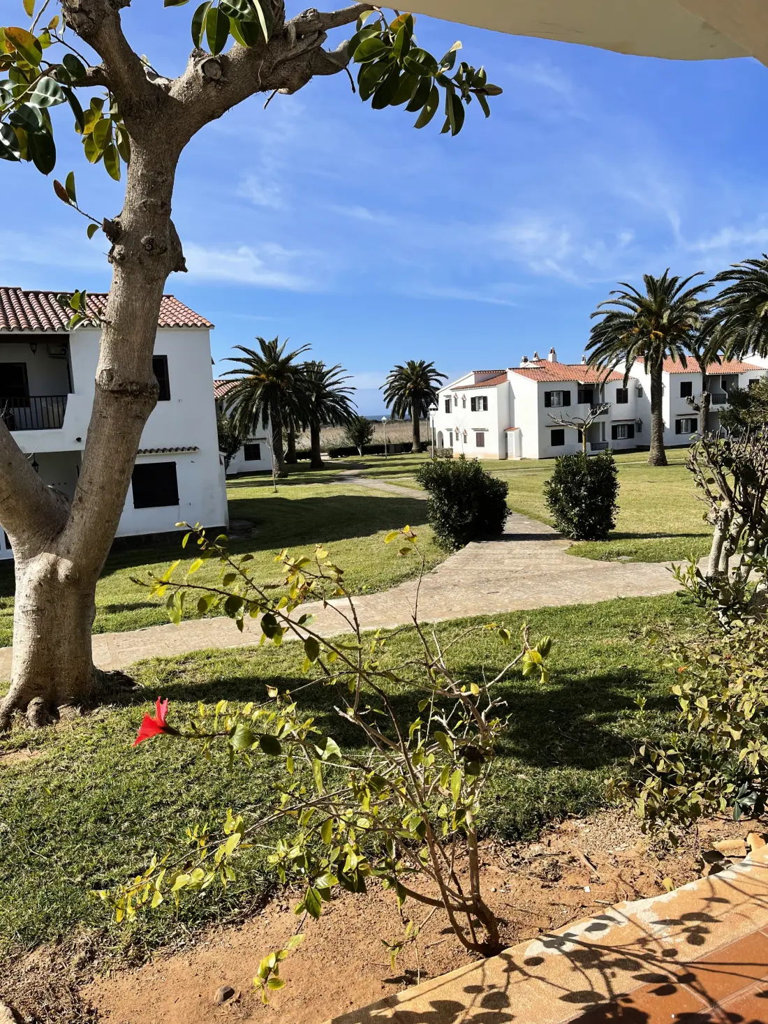 Appartements à Son Bou