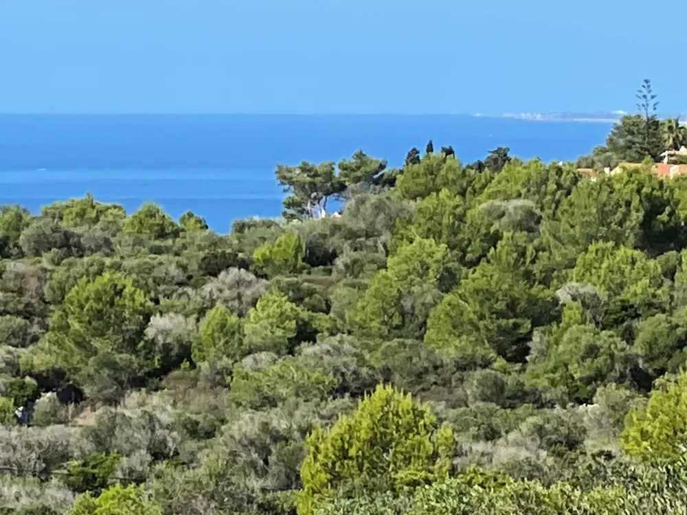 Maison à Son Bou