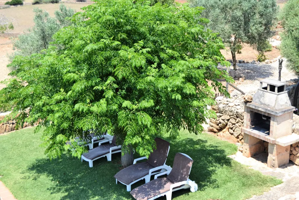 Maison à Son Serra de Marina
