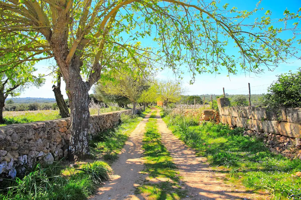 Maison à Son Serra de Marina