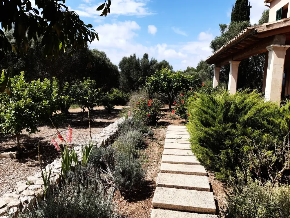 Maison de Vacances Son Serra de Marina