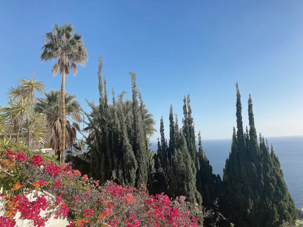 Maison de Vacances Tabaiba