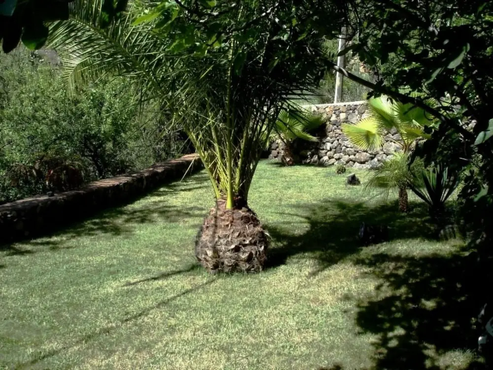 Maison de Vacances Tijarafe
