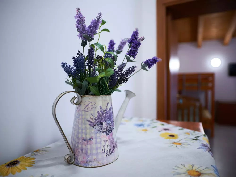 Maison de Vacances Tollo