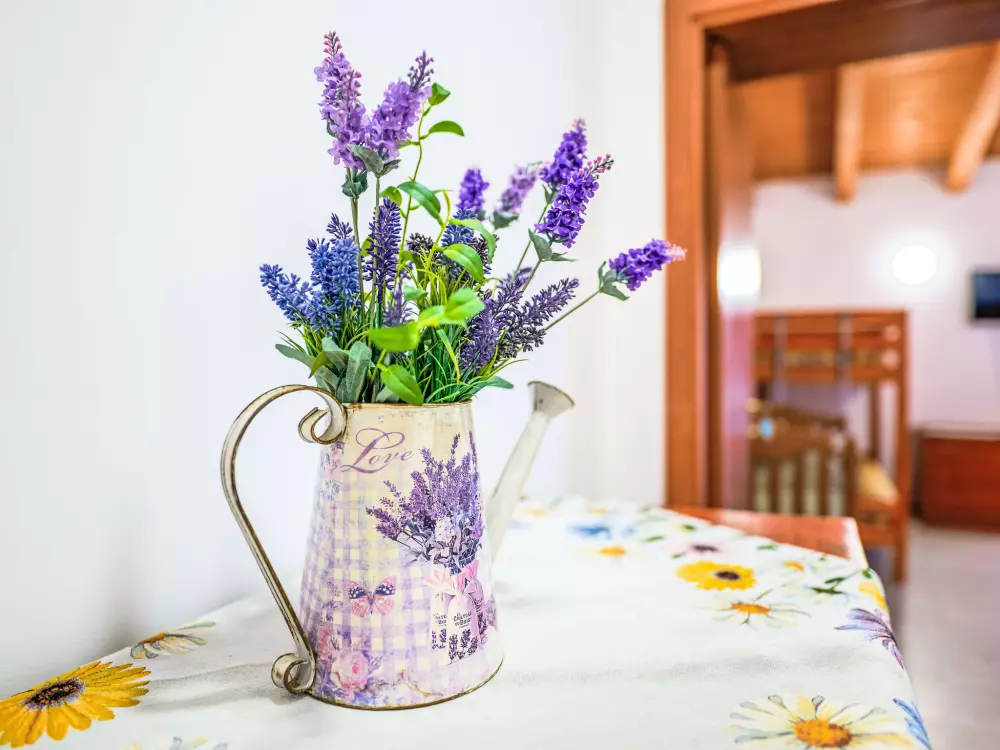 Maison de Vacances Tollo