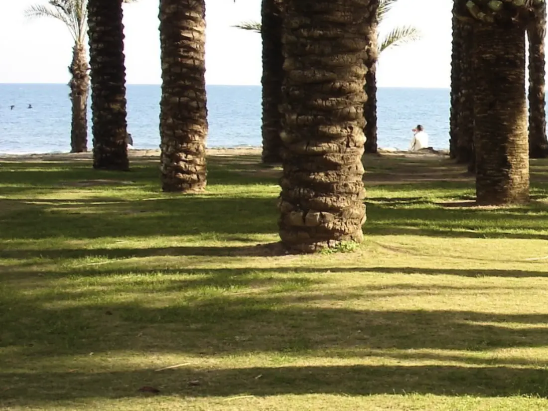 Résidence Ideal für Telearbeit vom Strand aus