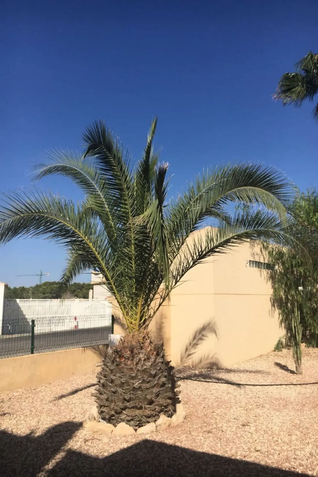Maison de Vacances Torrevieja