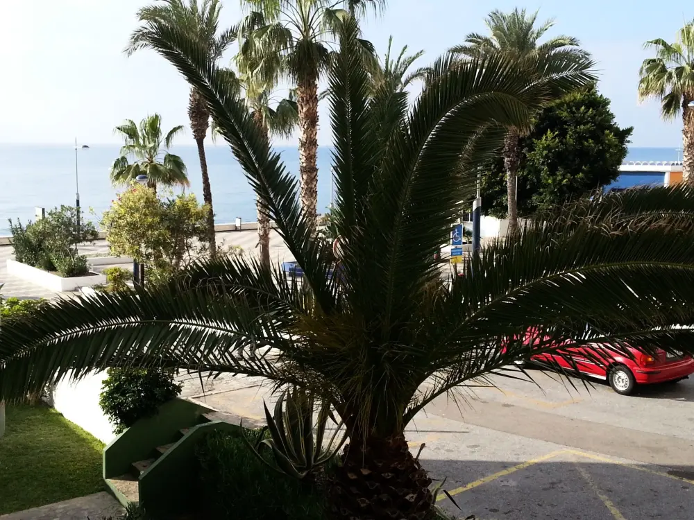 Résidence Gemütliche Wohnung in Torrox mit gemeinsamem Pool