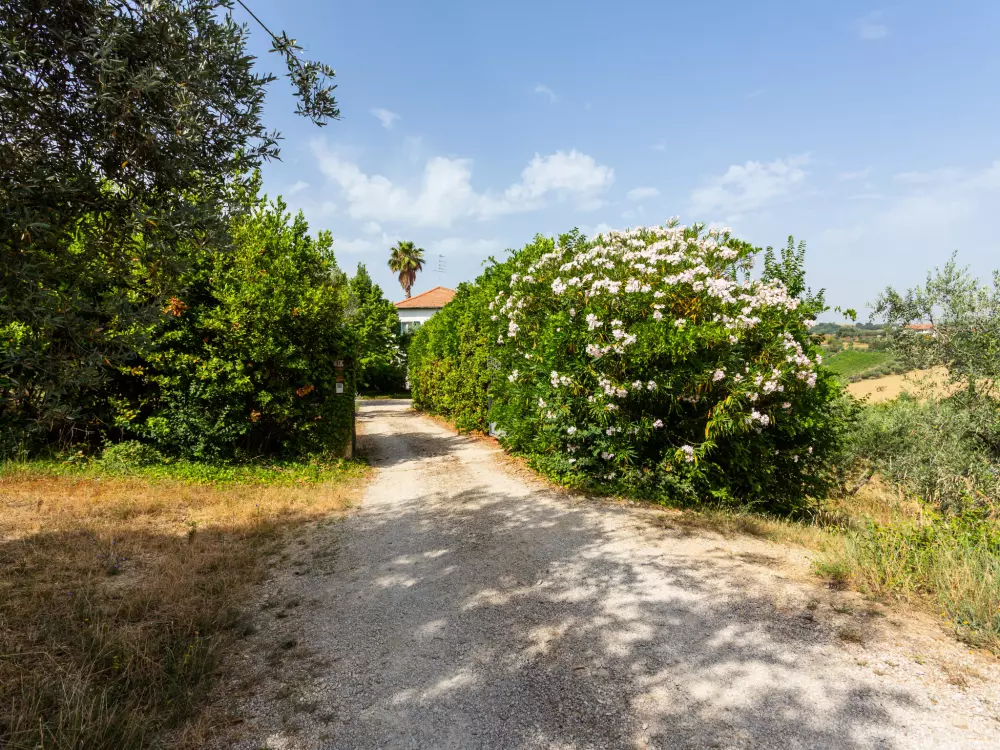 Maison de Vacances Tortoreto Lido