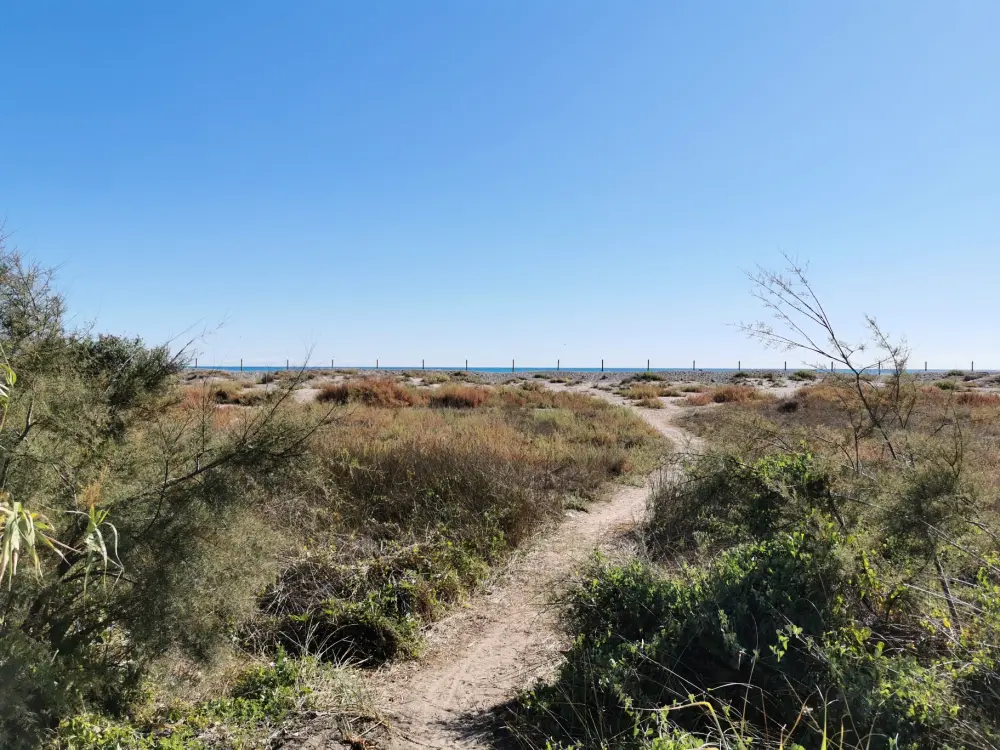 Appartements à Puerto de Sagunto