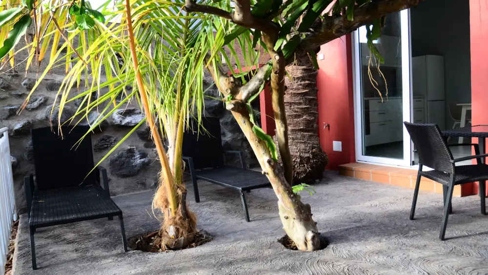 Maison à Valle Gran Rey - Ile de La Gomera