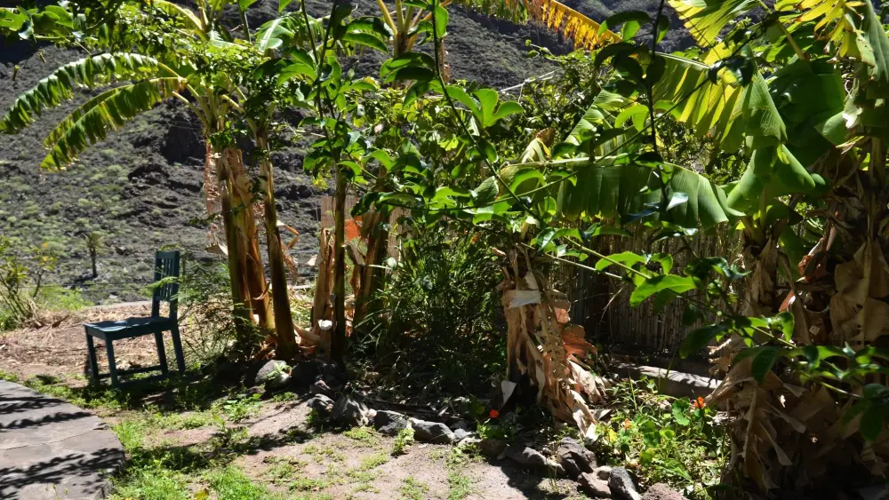Maison à Valle Gran Rey - Ile de La Gomera