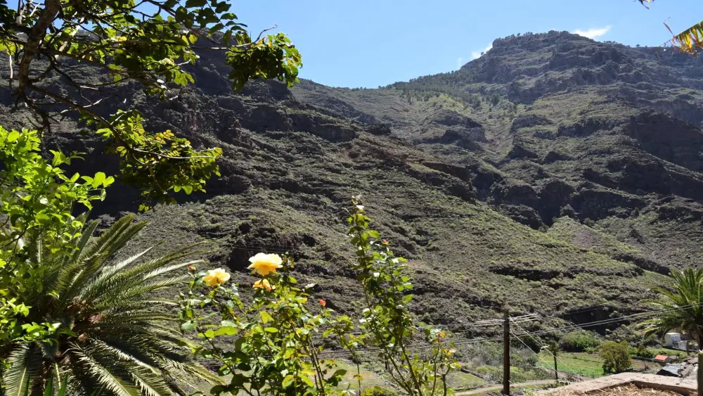Maison à Valle Gran Rey - Ile de La Gomera