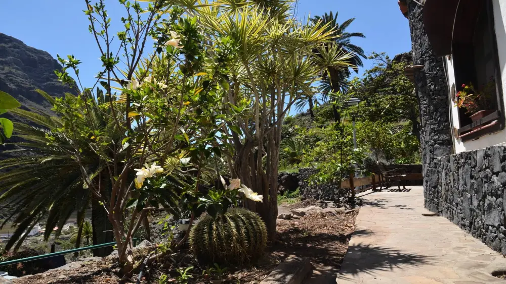 Maison à Valle Gran Rey - Ile de La Gomera