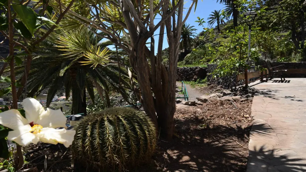 Maison à Valle Gran Rey - Ile de La Gomera