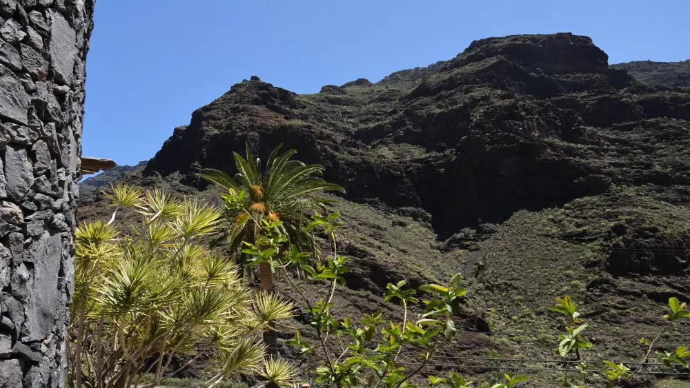 Maison à Valle Gran Rey - Ile de La Gomera