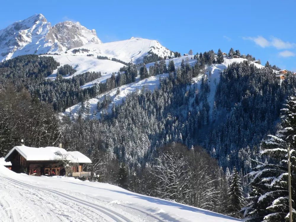 Résidence Le Bristol A25