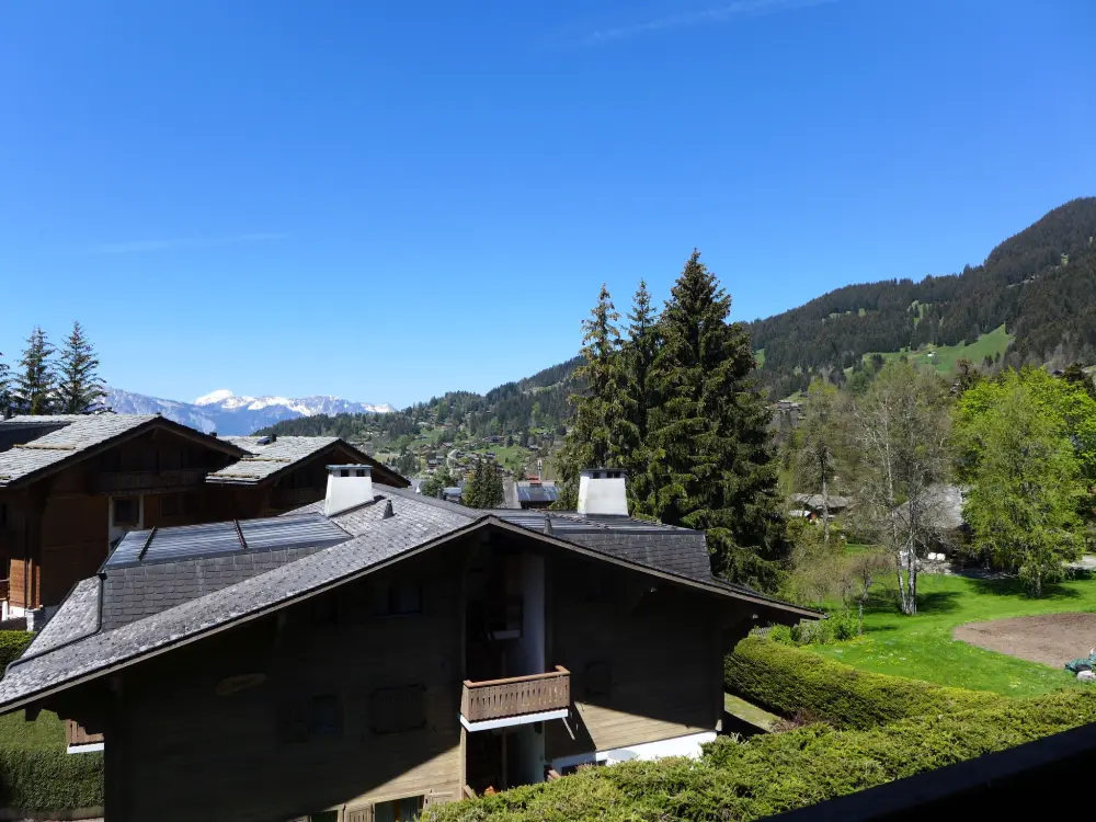Résidence Montagnards 12