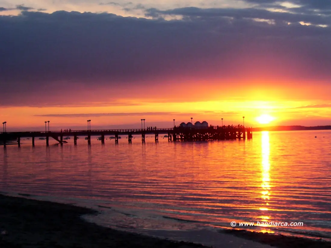 Location de Vacances Arcachon 103