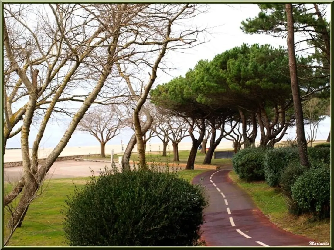 Location de Vacances Arcachon 103