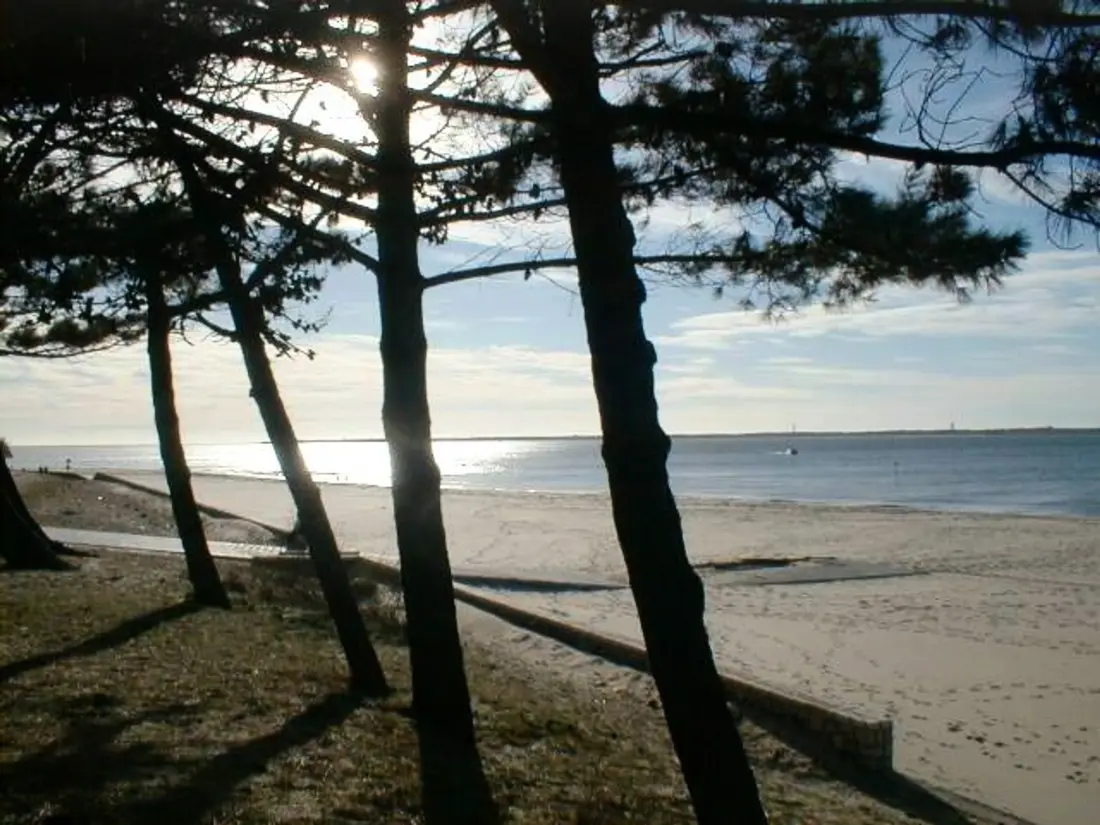 Location de Vacances Arcachon 103