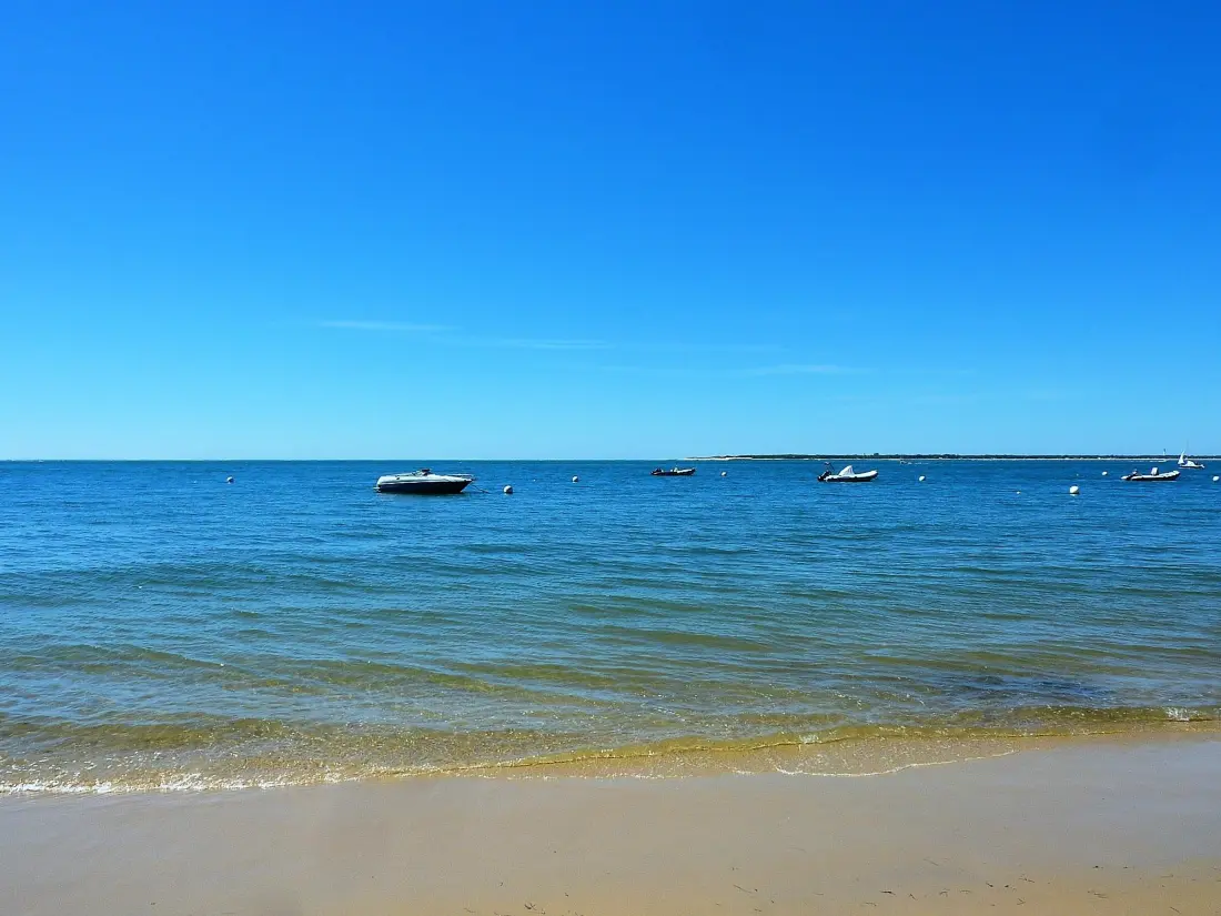 Location de Vacances Arcachon 230