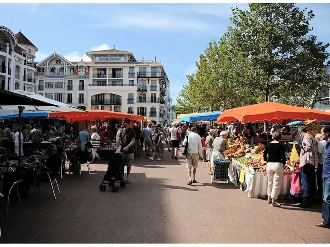 Location de Vacances Arcachon 230