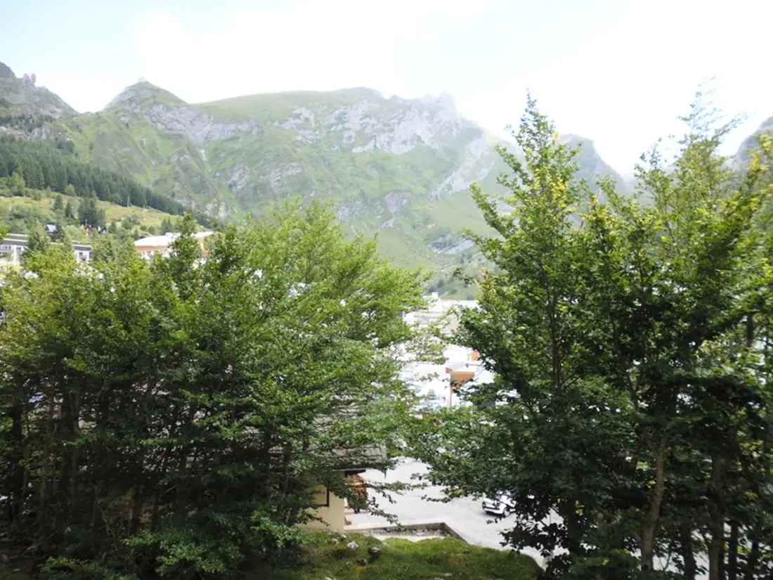 Location de Vacances Gourette 200
