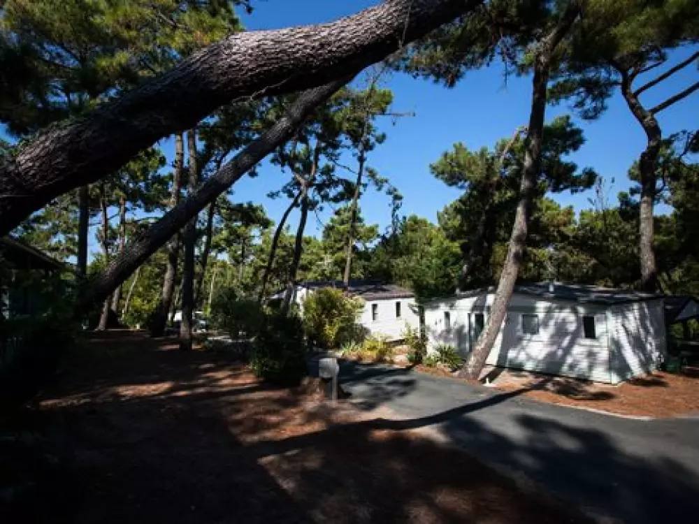 Camping La Siesta  4 étoiles★★★★