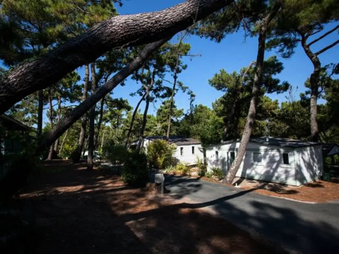 Camping La Siesta  4 étoiles★★★★