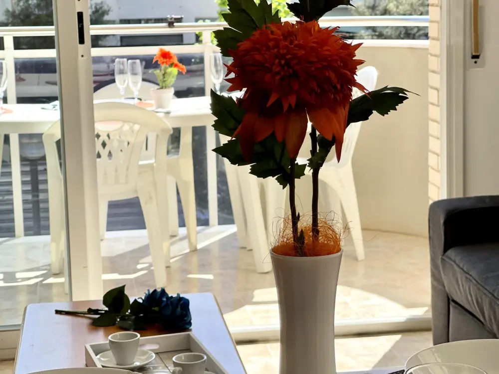 Location de Vacances La Pineda 31