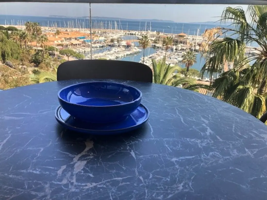 Location de Vacances Le Lavandou 220
