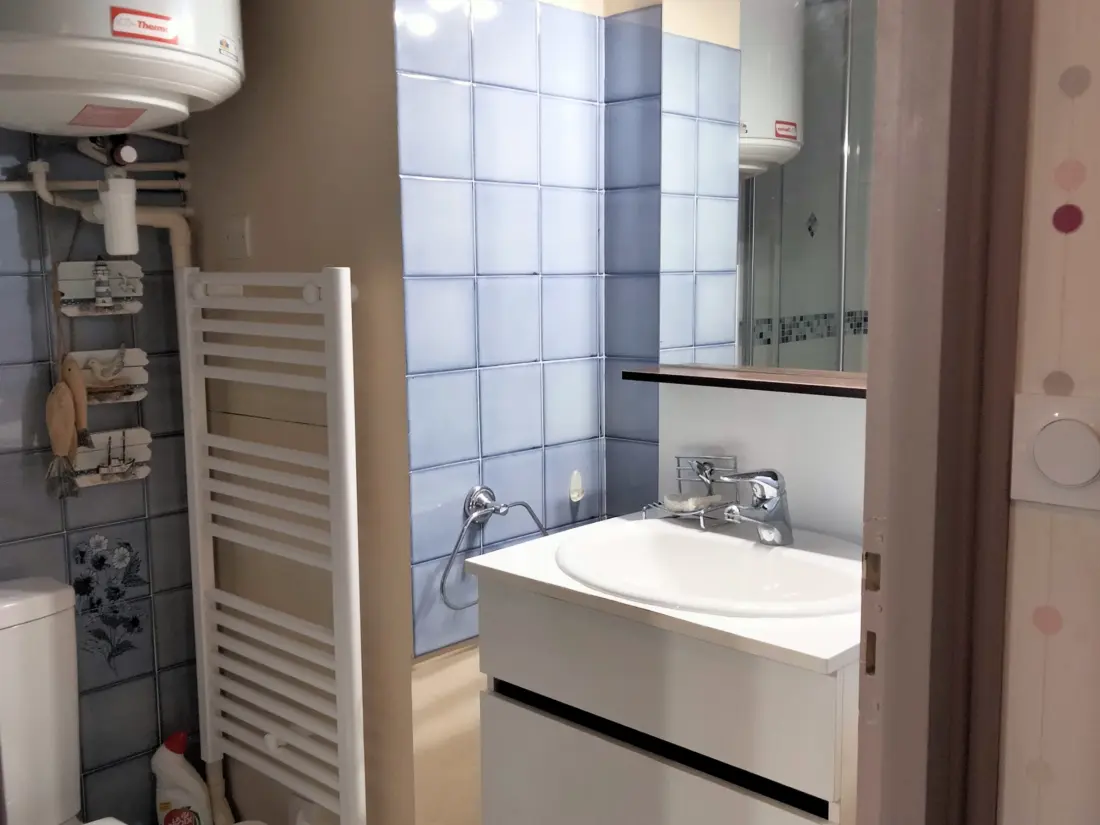 Location de Vacances Les Sables-d'Olonne 1351
