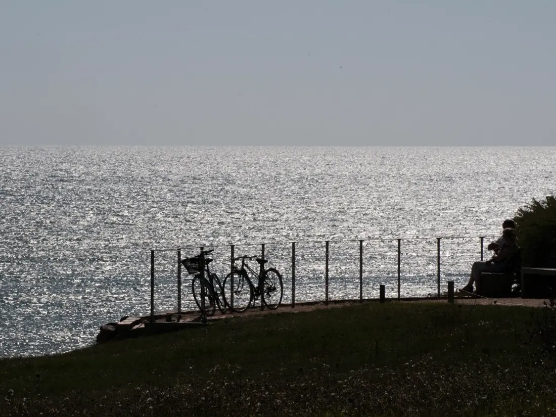 Location de Vacances Les Sables-d'Olonne 1368