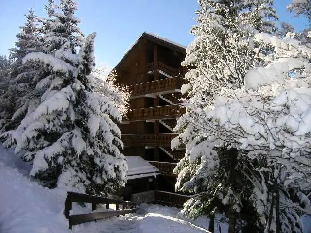 Résidence Ours Brun - - Méribel - Les Allues - Ski - 1