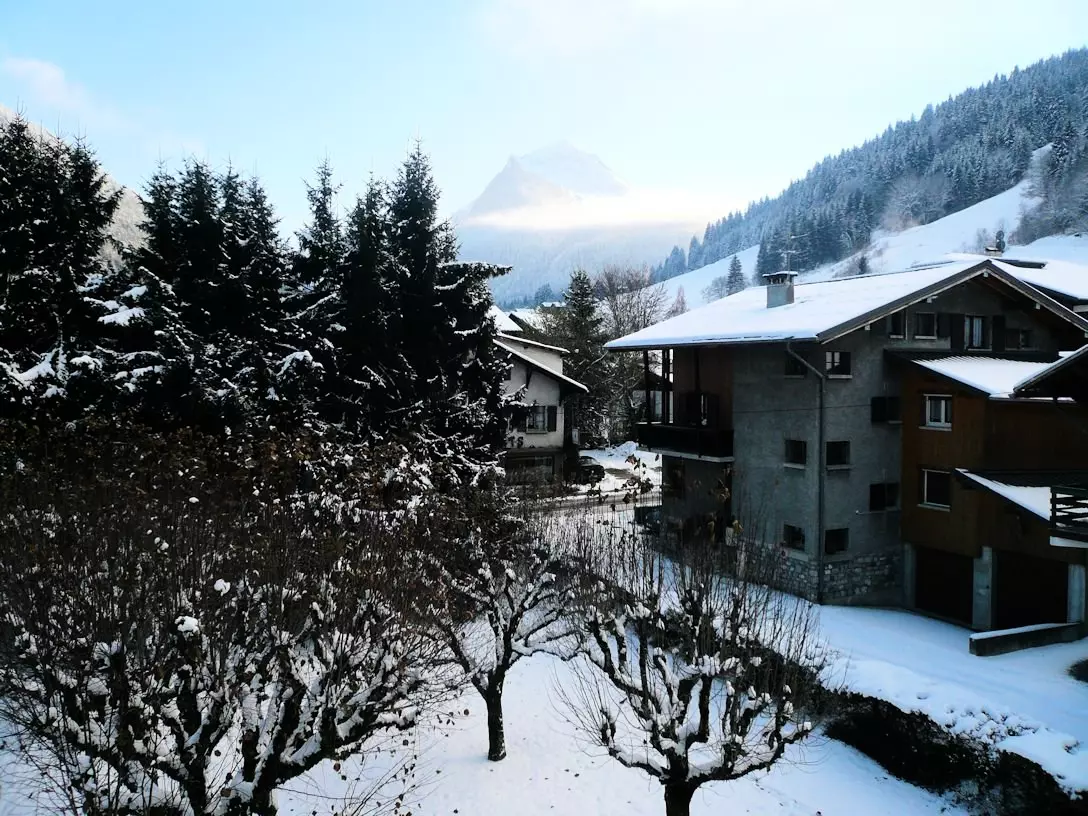Résidence Edelweiss - - Morzine - Ski - 1