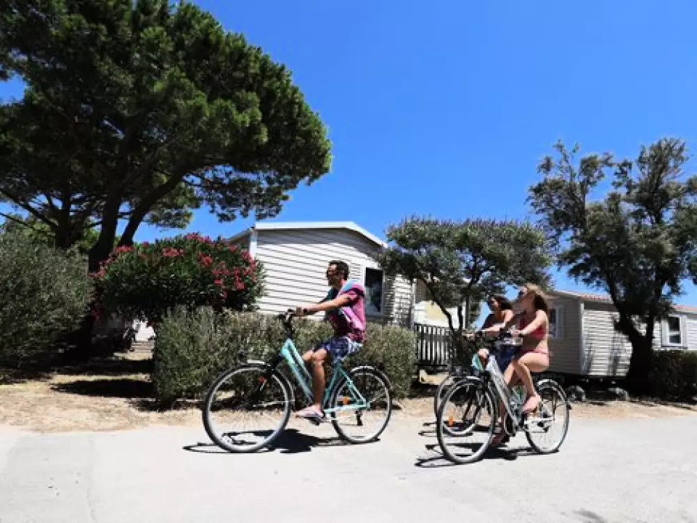 Camping Club La Côte Des Roses 45 étoiles★★★★★ - MS VACANCES 5 étoiles★★★★★