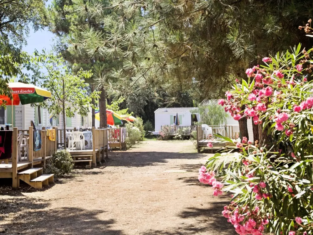 Camping Via Romana  3 étoiles★★★